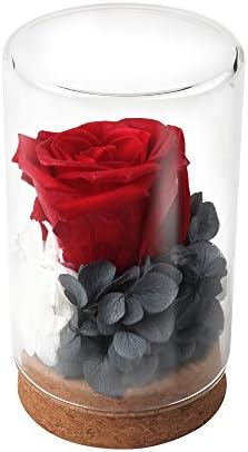 HQQD Unique Gifts,Preserved Flower Rose,Never Withered Roses,Upscale Immortal Flowers,Gifts For Women,Her,Girls,Sister, Mother's Day,Valentine's Day,Anniversary,Birthday,Wedding (A Red roses)