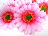 (12) BIG Silk Light Pink Gerbera Daisy Flower Heads , Gerber Daisies - 3.5