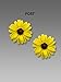 Sienna Sky Yellow Sunflower Post Earrings 1800