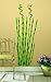 RoomMates Bamboo Peel and Stick Wall Decals