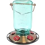 More Birds Mason Jar Hummingbird Feeder, Glass Bottle, 5 Feeding Ports and 25-Ounce Nectar Capacity