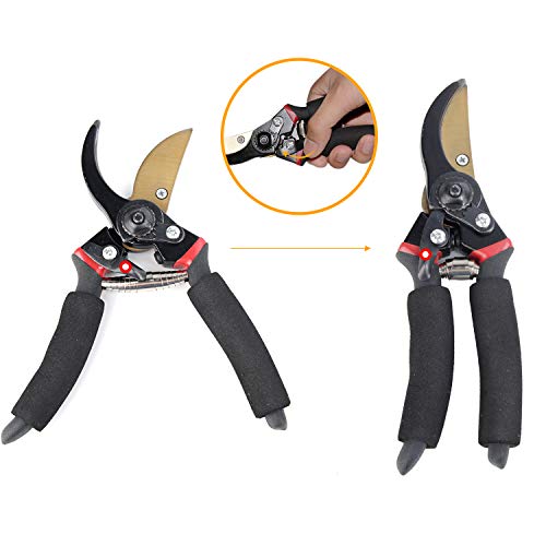 image for EONLION Pruning Shears, 8 Inch Professional Sharp Bypass Garden Shear