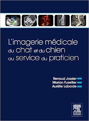 L Imagerie Medicale Du Chat Et Du Chien Au Service Du Praticien Pilon Partiel 15 2 16 Jossier Renaud Fusellier Marion Laborde Aurelie Amazon Com Books