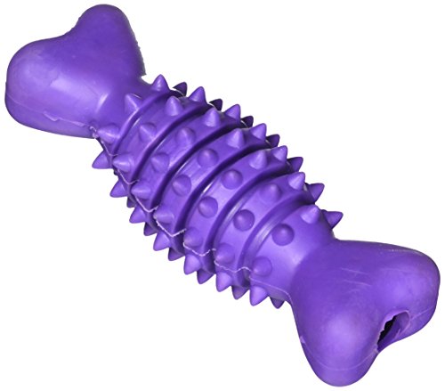 RHODE ISLAND TEXTILE 80602 Dental Pet Toy, Jumbo