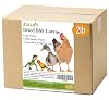 Black Soldier Fly Larvae for Bearded Dragons
