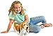 VIAHART Bourguignon The Basset Hound - 16 Inch Large Dog Stuffed Animal Plush Dog - by Tiger Tale Toys