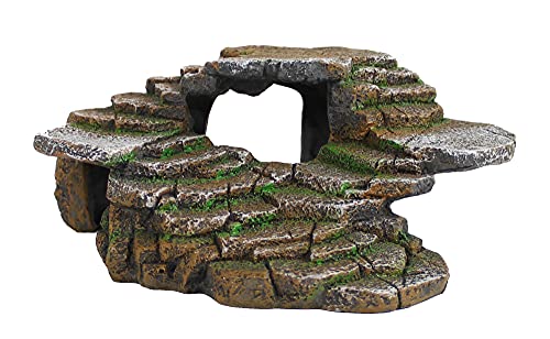 PENN-PLAX Borda de xisto reptologia e esconderijo de caverna â Ărea de frade â Resina decorativa para aquĂĄrios e terrĂĄrios â Ătimo para rĂ©pteis, anfĂbios e peixes â MĂ©dio