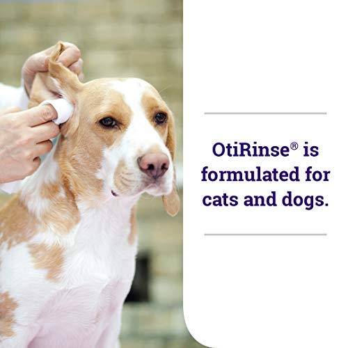OtiRinse, Ear Cleansing/Drying Solution, for Dogs, Cats and Horses, 8