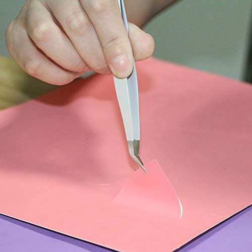 6 ABDQPC+Weeding+Storage+Silhouettes+Lettering