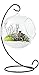 Mkono Clear Glass Vase Hanging Plant Terrarium with Black Metal Stand Tabletop Display Potted Stand for Air Plants Succelent Home Office Decor, C-Shape, 1 Globe