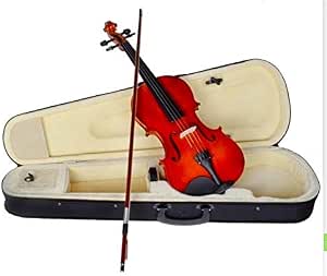 Audiotek Violín Acústico Semiprofesional 4/4 de Madera Fina :  Amazon.com.mx: Instrumentos Musicales