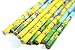 Moddan Pokemon Pikachu & Friends Pencils Party Favors - 12 Pencils and Random Bonus Toy