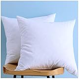Set of 2, Down and Feather Throw Pillow Insert, 100% Cotton, 20x20 Inch