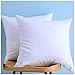 LunarTex Two Pillow Inserts, Down and Feather Throw Pillow Insert, Cotton Fabric, 20X20 Inches