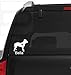 Decalorize Pitbull with Heart Custom Customized Name Puppy Paw Love Vinyl Decal Window Sticker for Cars, Trucks, Windows, Walls, Laptops ETC