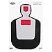 Birchwood Casey Dirty Bird BC19 Shadow Target (Pack of 8), 12x18-Inch, Black