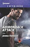 Adirondack Attack (Protectors at Heart Book 2) by Jenna Kernan