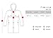 Zicac Womens Girls' Transparent Raincoat Waterproof Rain Jacket with Hood (One Size, Black)
