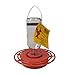 Pack of 2 Best-1 Glass Hummingbird Feeders, 8 oz.