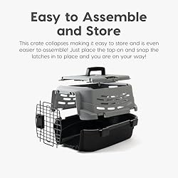 IRIS USA 19" Cat Carrier, Extra Small Pet Carrier