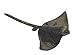 Aurora World Super Flopsie Animal Plush, Sting Ray