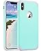 ULAK Slim Protective Case for iPhone Xs Max, Hybrid Soft Silicone Rubber Hard Back Cover Anti Scratch Bumper Case for Apple iPhone Xs Max 6.5 inch 2018 (Mint Green)