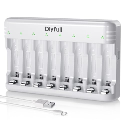 Dlypow 8 Bay USB-C Battery Charger