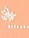 100-Pcs Dental Componeer Thin Whitening Resin Veneer Upper Anterior Front Back Molar Teeth