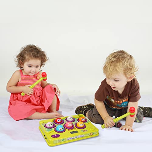 Whack A Frog Game - Interactive Fun Toy For Kids