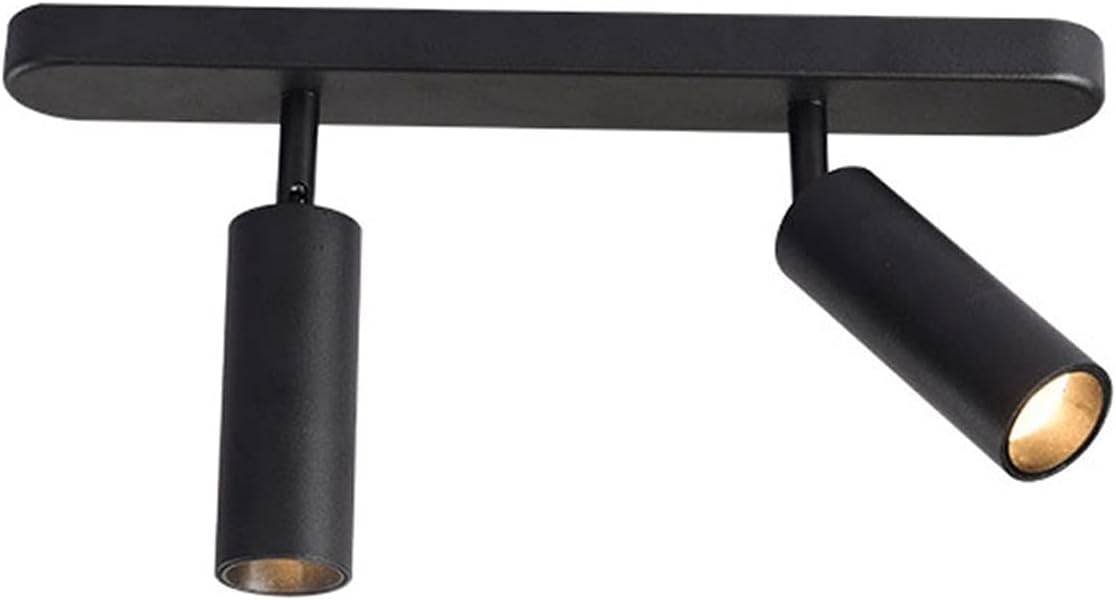 Modern Ceiling Spotlight, 2 Way Ceiling Mount Light Fixtures