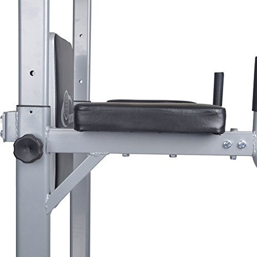 Crystal Fit VKR Vertical Knee Raise Dip Station Power Tower Pull Up