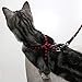 PUPTECK Cat Harness with Leash Set - Adjustable Soft Strap with Figure 8 Style Harness, Adorable and Special