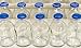 Jazz Labs 50ml Sterile Clear Vial 5pk Blue FC Durable Glass Made in USA