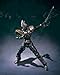 S.I.C. Ultimate Soul Masked Rider Kamen Rider Blade [JAPAN] by Bandai
