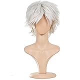 Ecvtop Wigs for Mens' Death Note Male Short Hair Wig Costume Cosplay Wigs (Silver Gray)