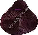 Pravana Chroma Silk Creme Hair color #4.20 Intense Violet Brown