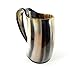 Buddha4all Viking Drinking Horn Ale Tankard With Free Horn Shot Glass (20 oz)