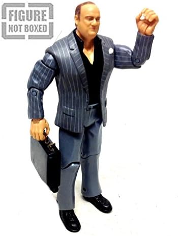 WWF WWE Wrestling PAUL HEYMAN (BROCK LESNAR'S MANAGER) 6" figure RARE [not boxed]