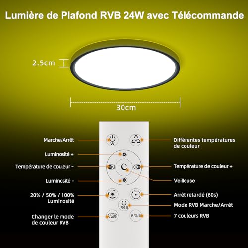 DetarZinLED 2 x Extra Flat LED Ceiling Light 30 cm with Remote Control, 24 W 2700 LM Dimmable CCT Round Ceiling Lamp, RGB Colour Changing Chandelier Children's Bedroom Night Light, IP44 Waterproof Bathroom