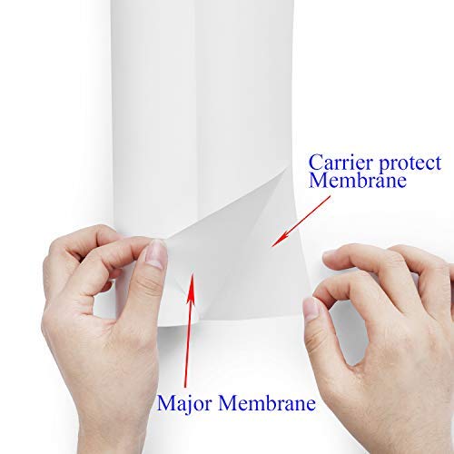 2 x12feet+Transfer+Silhouette+Somolux+T+Shirts