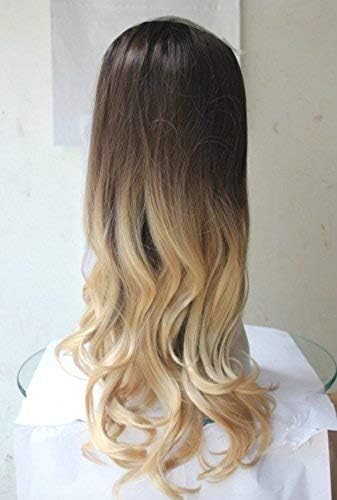 22" Long 3/4 Full Head Wig Clip in Lace Inside Hair piece (wavy, dark brown to light blonde)