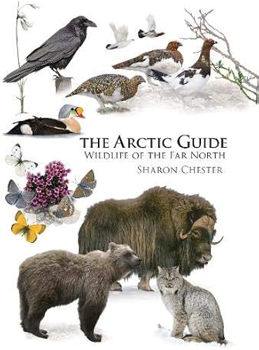 Download The Arctic Guide – Wildlife of the Far North PDF
