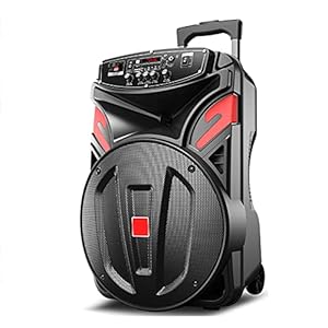 Bluetooth-Speler Outdoor Audio Zangprestaties Krachtige Draagbare Trolley-Luidspreker Met Draadloze Microfoon Zware Bas