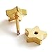 2pcs Gold Star Screw Stud Earrings for Men Women, Steel Cheater Fake Ear Plugs Gauges, Satin Finished