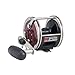 Penn Special Senator Star Drag Conventional Fishing Reel