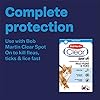 Bob Martin Clear | Spot On Wormer for Cats & Kittens | 100% Effective Tapeworm Treatment (2 Pipettes)