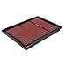 Spectre Engine Air Filter: High Performance, Premium, Washable, Replacement Filter: Fits 2004-2010 CHRYSLER/DODGE (300, 300C, Challenger, Charger, Magnum) SPE-HPR9838