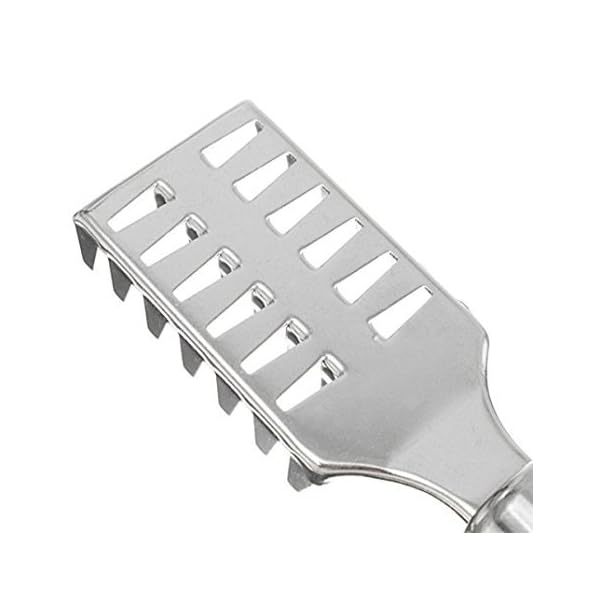 Actopus-3PCS-Fishing-Scaler-Fish-Skin-Stainless-Steel-Scales-Brush-Cleaner-Descaler-Skinner-Tackle-Box-Accessory-Kitchen-Tool