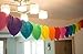 YCT Rainbow Paper Garland - 110 Inch Long