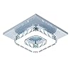 DAXGD Plafondlamp Kristallen LED Plafondlamp Rvs LED Spiegel 12W Moderne kristallen kroonluchter voor woonkamer…